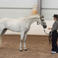 Aurora viser din hest på PRE chamionater